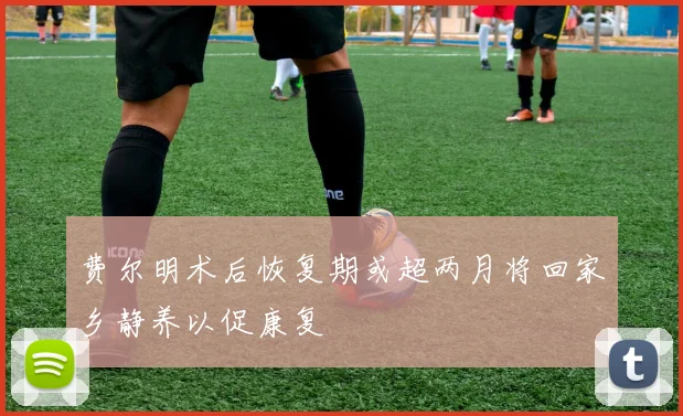 费尔明术后恢复期或超两月将回家乡静养以促康复